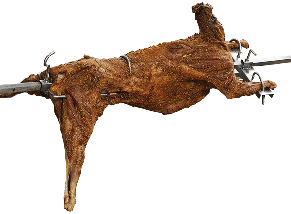 kambing-gulingku-2