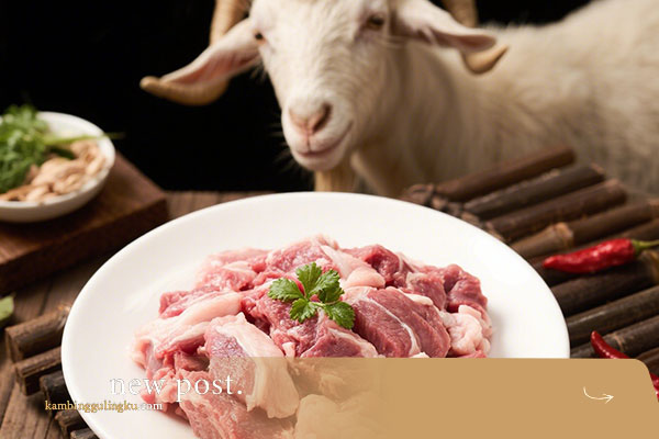 harga kambing guling 2025